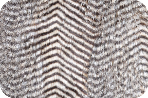 Fancy Feather Brown/Blue